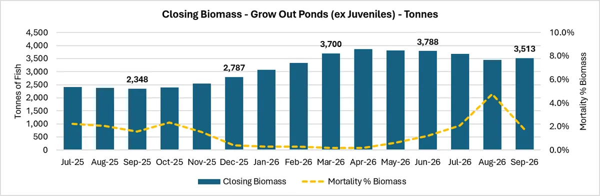 Biomass and Harvesting Strategy