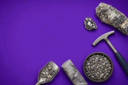 Previous Article Image