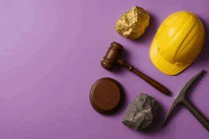 Previous Article Image