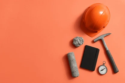 Previous Article Image