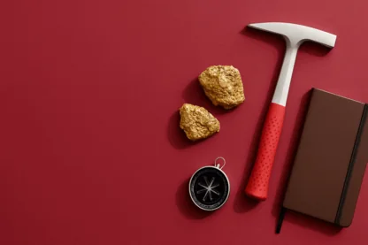 Previous Article Image