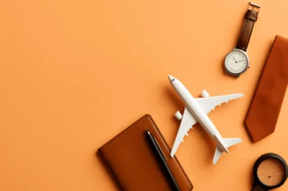 Previous Article Image