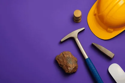 Previous Article Image