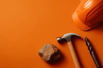 Previous Article Image