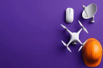 Previous Article Image