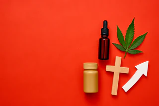 Cann Group Cuts Debt by 81%, Eyes Positive EBITDA in FY26 with $9M Capital Raise