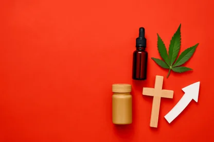 Previous Article Image