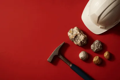 Previous Article Image