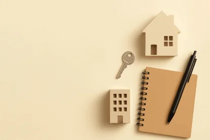 Previous Article Image