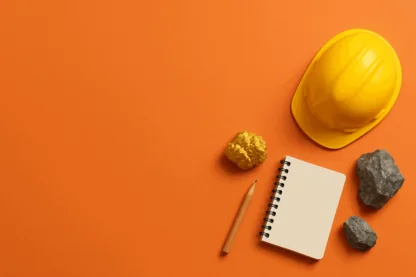 Previous Article Image