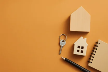 Previous Article Image