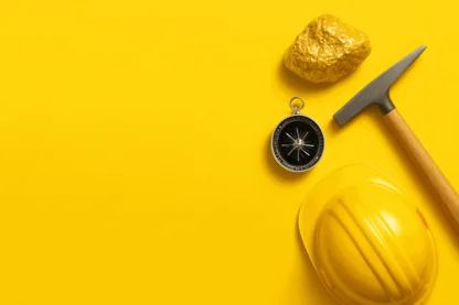 Previous Article Image