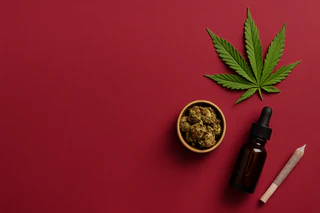 Cann Group Nears Break-Even as Debt Restructure Promises Fresh Start