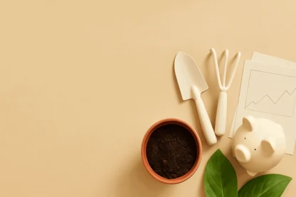 Previous Article Image