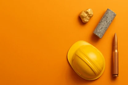 Previous Article Image