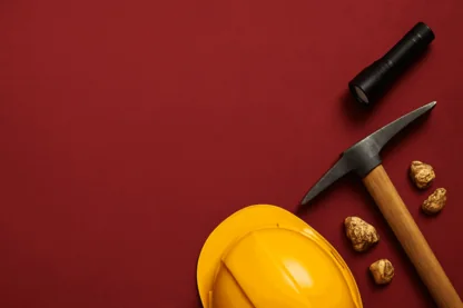 Previous Article Image