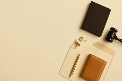 Previous Article Image