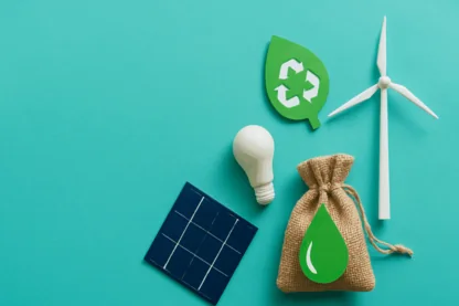 Previous Article Image