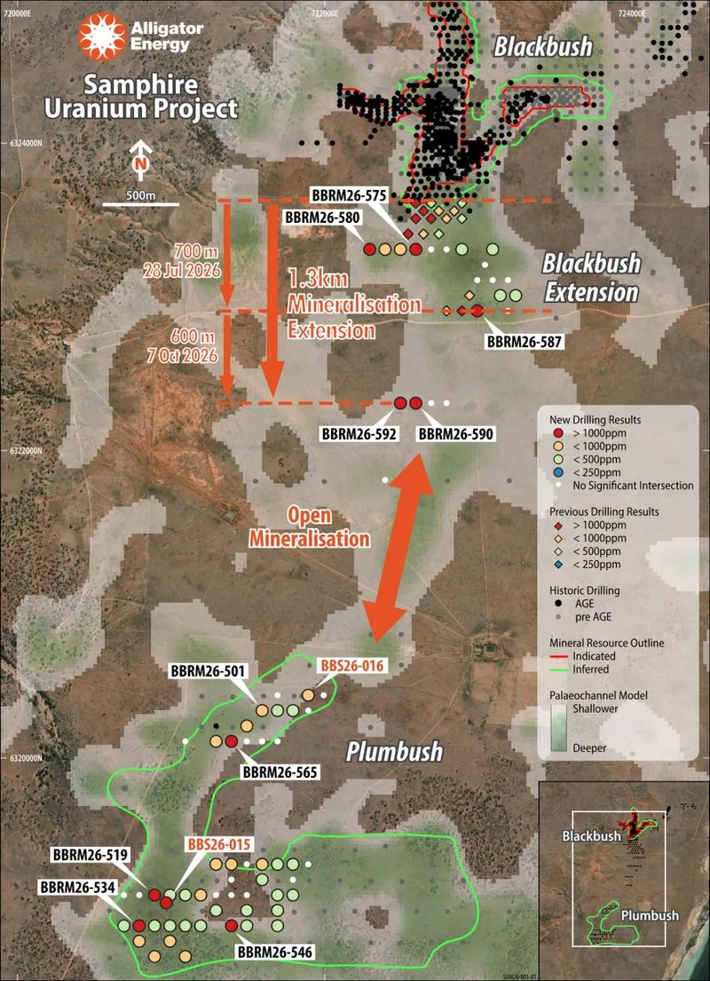 Samphire drilling results from Blackbush to Plumbush