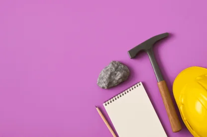 Previous Article Image