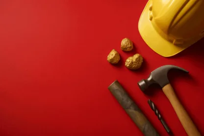 Previous Article Image