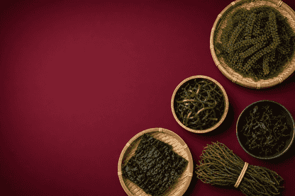 BPH Global Hits Second Highest Monthly Seaweed Sales in Twelfth Month