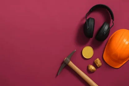 Previous Article Image