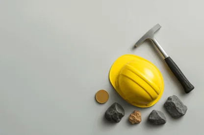 Previous Article Image