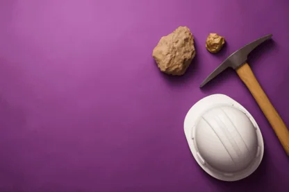 Previous Article Image