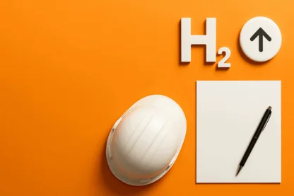 Previous Article Image