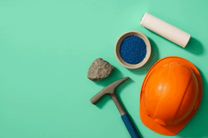 Previous Article Image