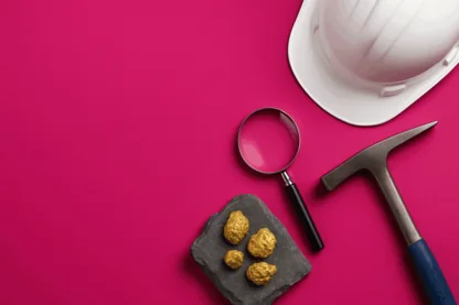 Previous Article Image