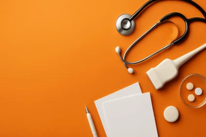 Previous Article Image