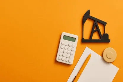 Previous Article Image