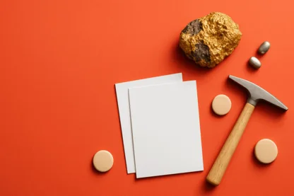 Previous Article Image