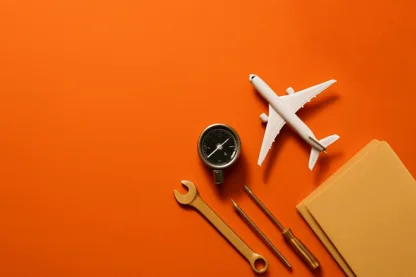 Previous Article Image