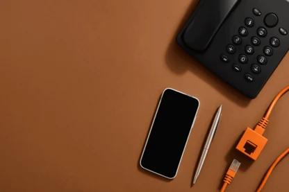 Previous Article Image