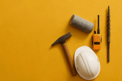 Previous Article Image