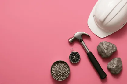 Previous Article Image