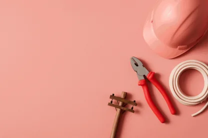 Previous Article Image