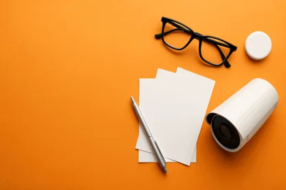 Previous Article Image