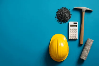 Previous Article Image