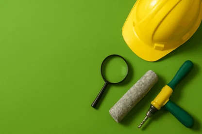 Previous Article Image