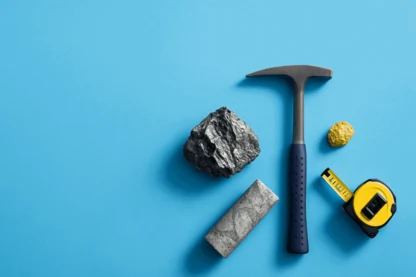 Previous Article Image