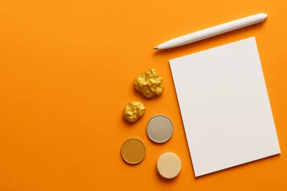 Previous Article Image