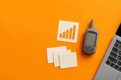 Previous Article Image