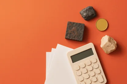 Previous Article Image