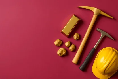 Previous Article Image