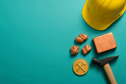 Previous Article Image