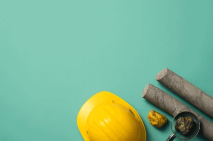 Previous Article Image